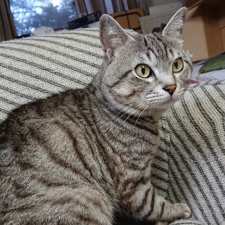 274fa6c1 243a 4c8e a124 a57c84e54452 1558085654114