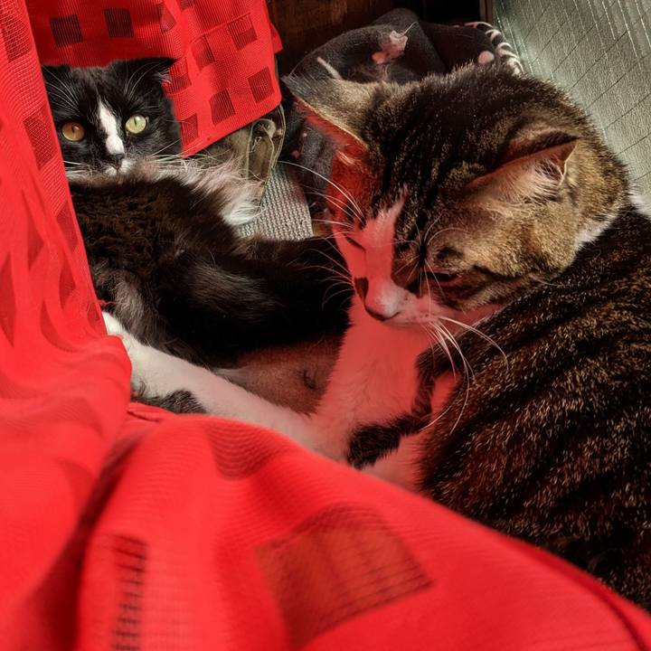 274fda1c 7f59 45ce b0a0 5f0d4200fc50 1674530252231