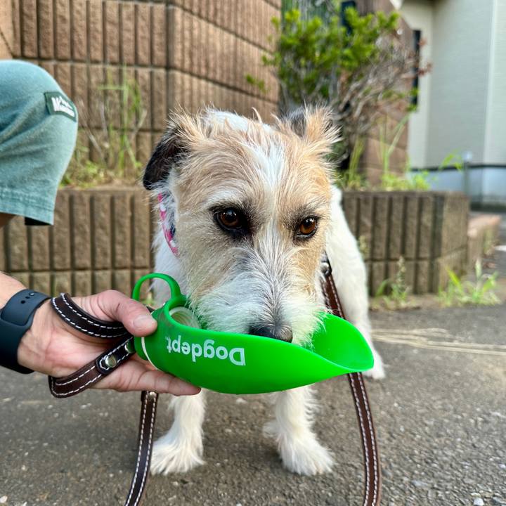 2750553c 4656 4350 a148 796954e67110 1750364261460