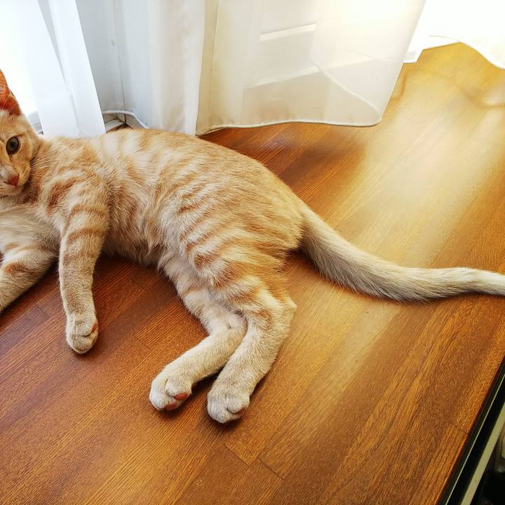 27509070 a18b 4f1e 9ab4 162a53e27536 1542409173210