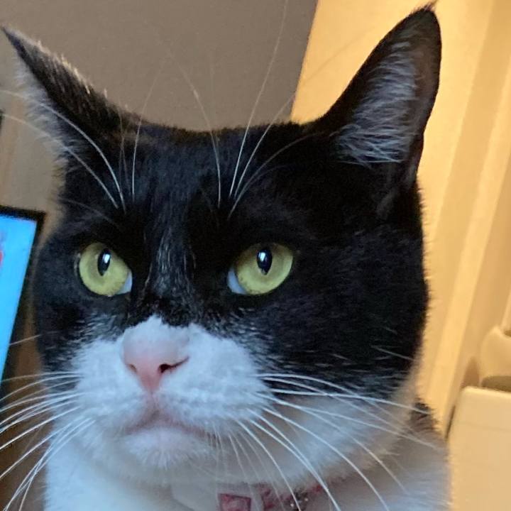 2751099a d87e 46d1 bdde 3954b9d32e45 1673874508806