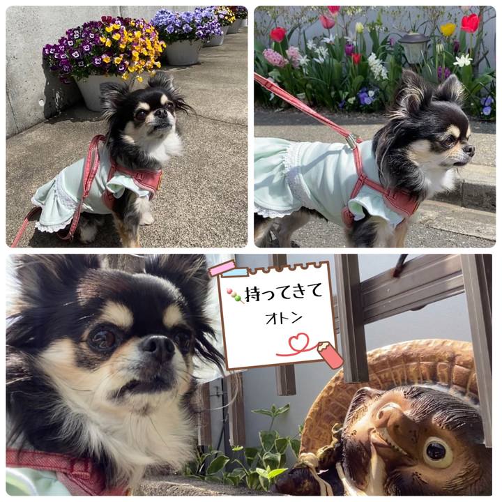 275113e1 ae3d 49ff ad5c d74ae75a8e52 1649215418578