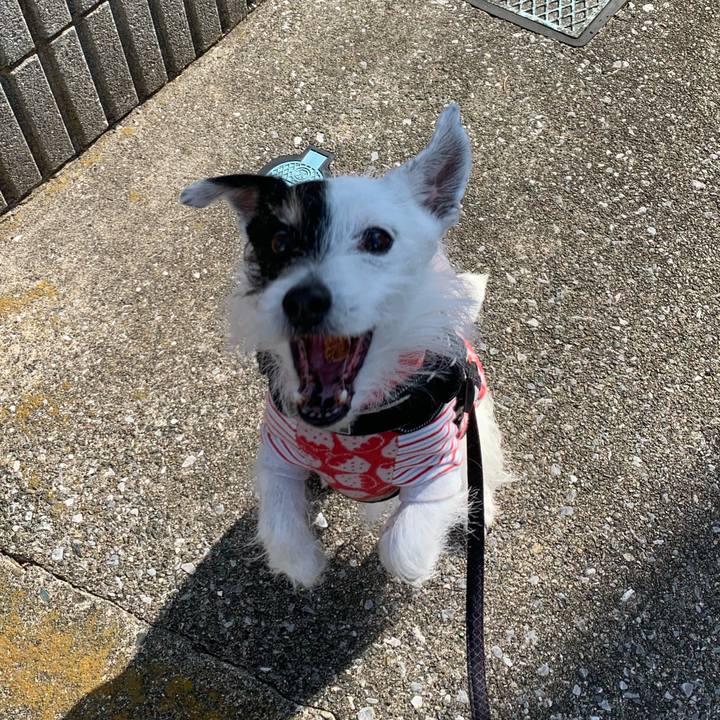 275141ed bfc1 44eb 82f5 db17f07ce593 1742513549578