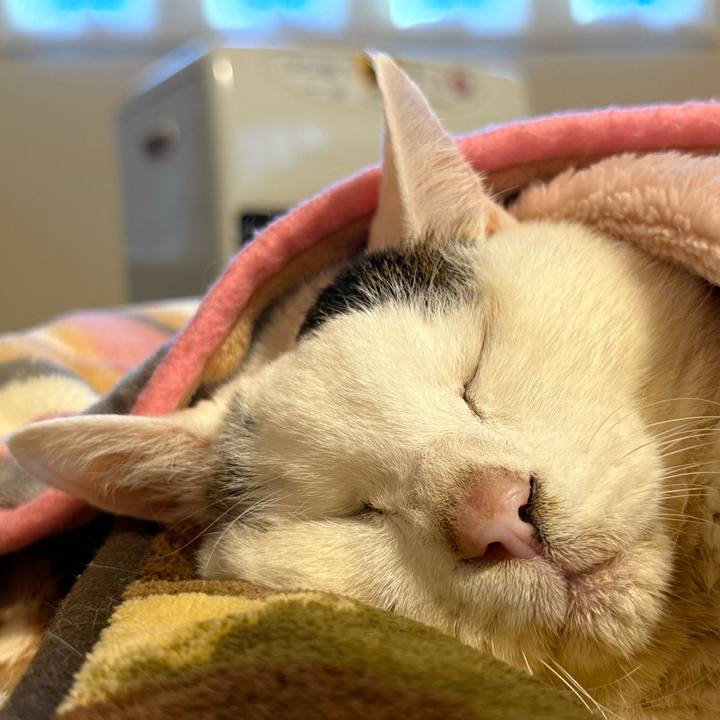 27516769 db1e 4c48 a9de 2caf92f2edd5 1770078662792