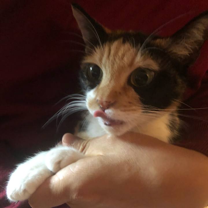 275189c0 eb1a 4827 a1ad 586dc8a0555d 1573884637749