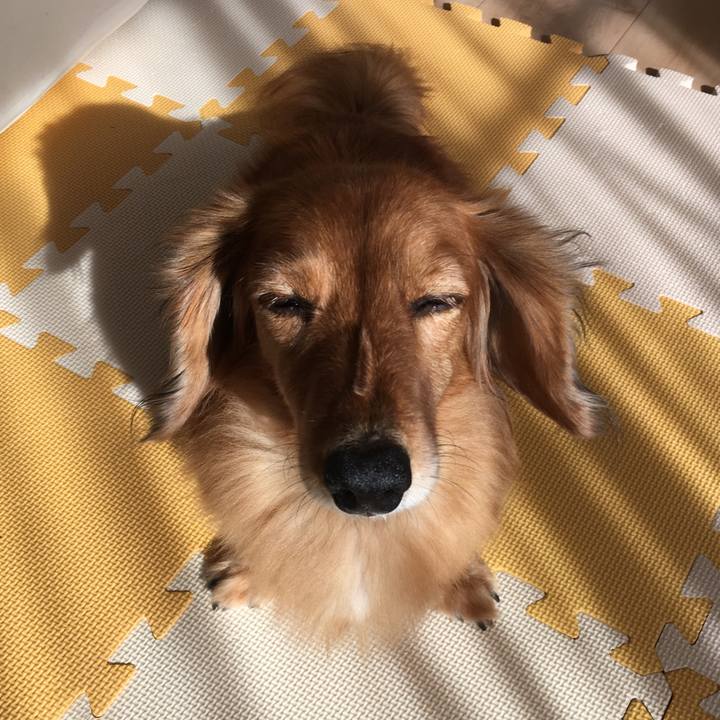 27518fa9 a96b 434b 8426 aaf68d78930f 1541838378318