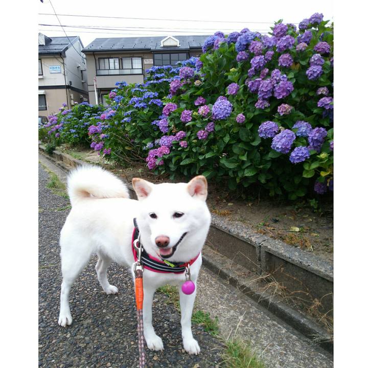 2751a5d7 2df7 43d5 b1f7 f26b104e0fb6 1561284142329