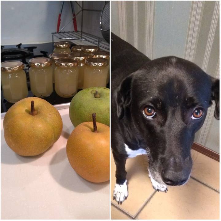 2751c209 08b3 492e 8737 3c59e487b87c 1628670561518