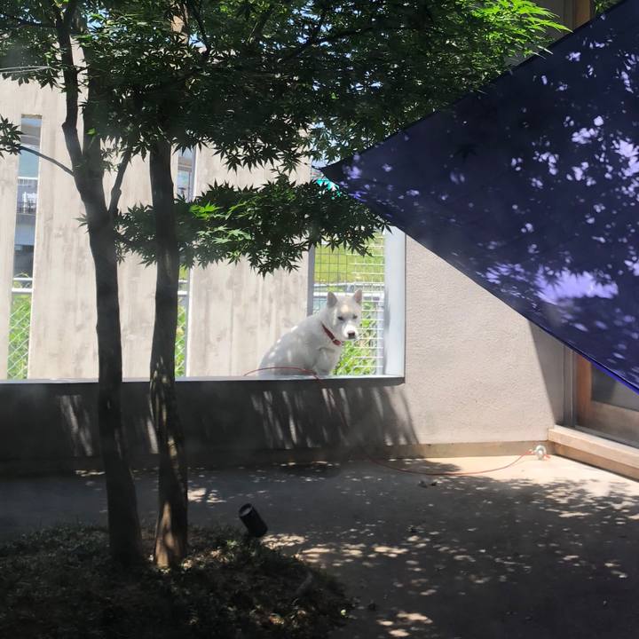 2751f11d ba91 4eb9 adb2 b93bdbd2e0ea 1527128805793