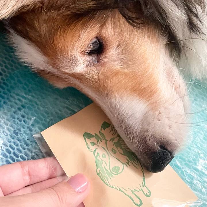 2751f779 3ee8 4dad 9915 1e388e89be32 1657606664643