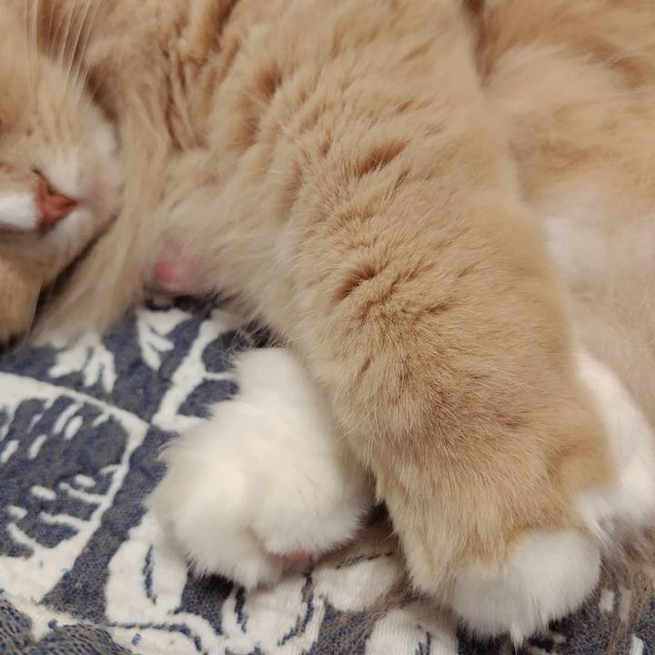 27520ac8 9392 46bb 83ec e4e8c294491f 1701422714637