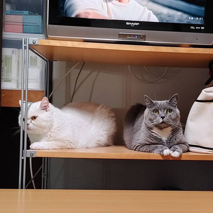 275252d5 0855 484e 9f27 fce6716b39b9 1653396224433