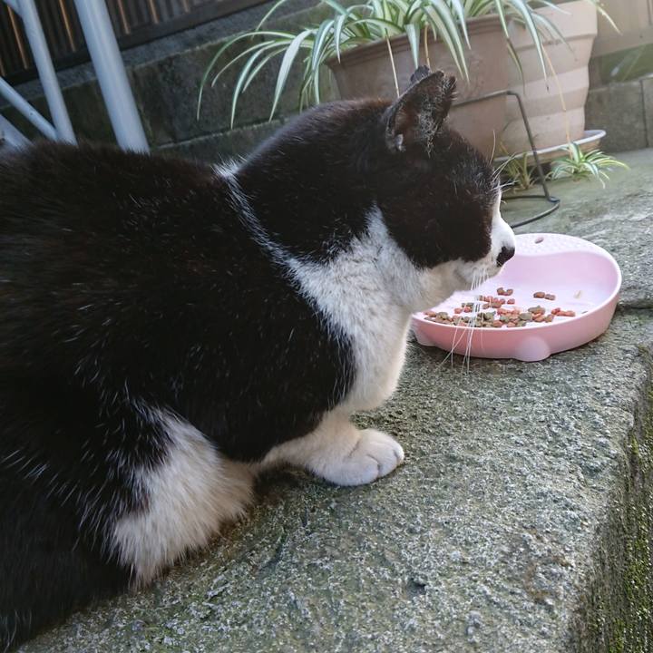 27527d71 b642 443d a1a6 bb9ddb59045a 1682239993968