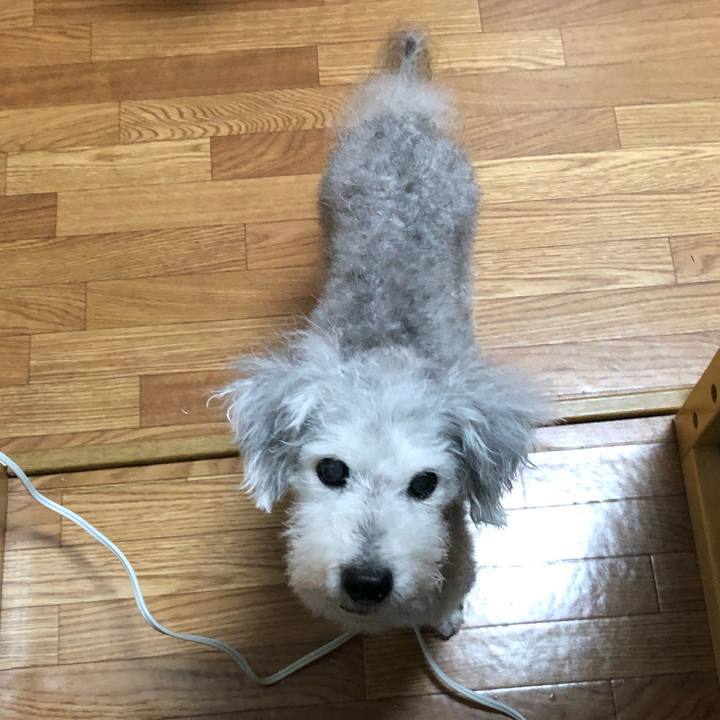 27527de8 bdfb 4db9 bc62 69769cdfed88 1634220205187