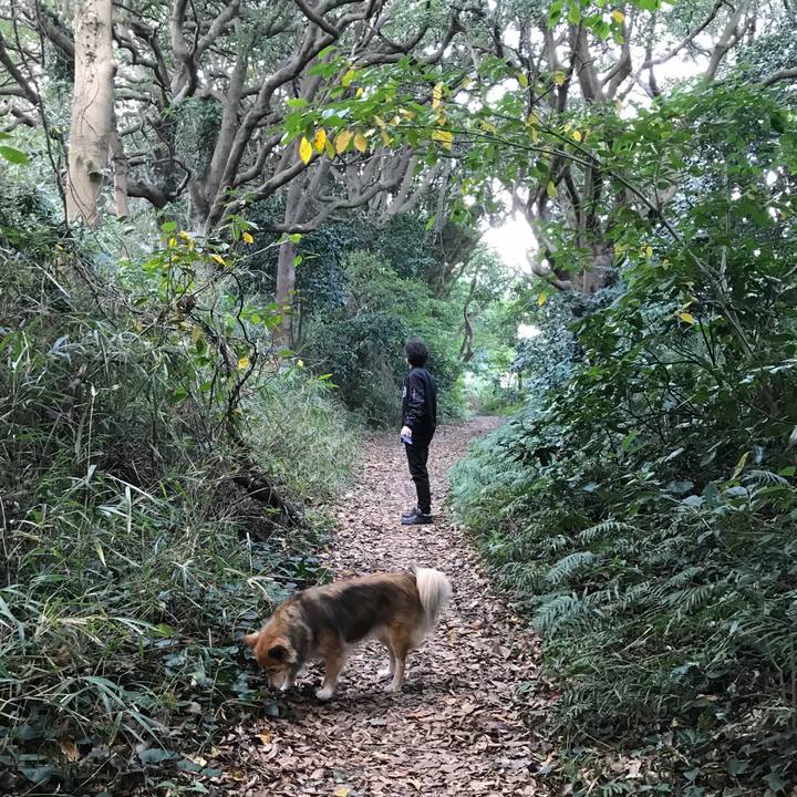 2752ae14 2a7c 4d15 a0ec 88efadd18883 1510295376862