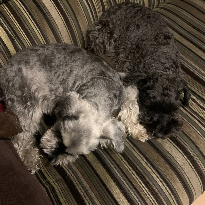 2752ba2d d0ff 4036 a679 17789f5cec3e 1647597118490