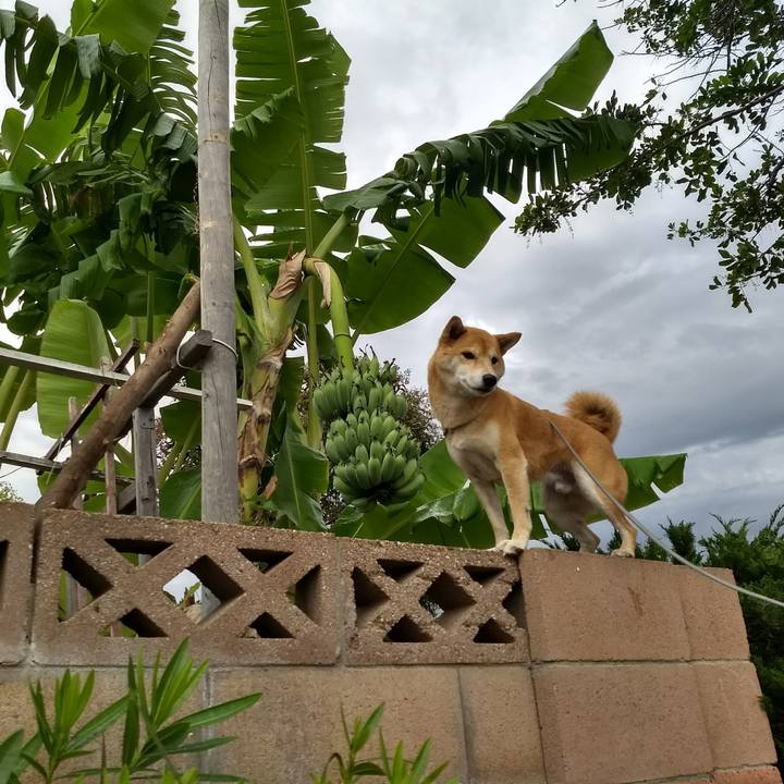 2752bc1b ad14 4c35 bb7b fed9ad08fe6a 1511058689874