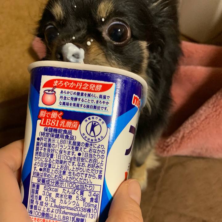 2752dc2d ceb5 4a19 83d9 9654c4f8bef1 1559594876850