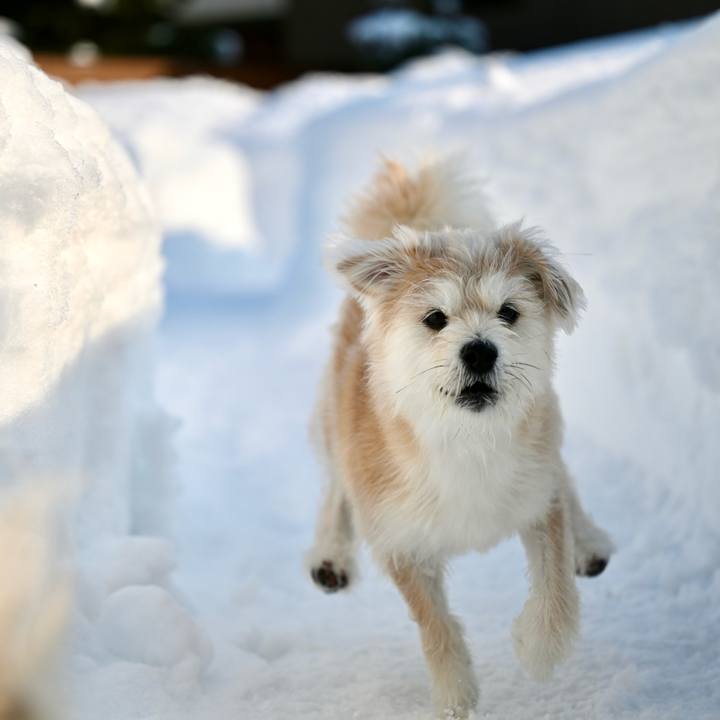 2752dd36 a4a2 413b b769 142dde06d8e2 1771059904591