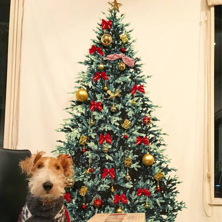 2752e4f6 c1d6 4344 8e26 9bb298e6effc 1512222265711