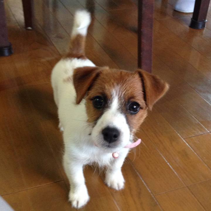 2752f6ff 28ff 4b9d 9edd 60c2ae11175c 1512124356782