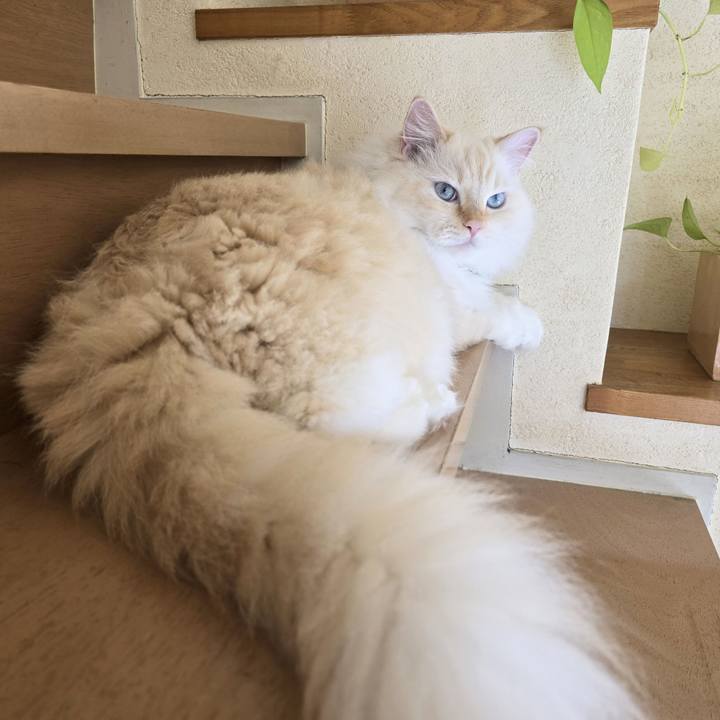 2752faea c209 437c a4fc 20ecf3ac5d25 1729757983698