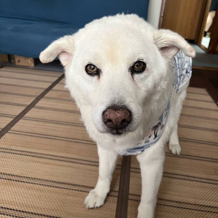 27531ea8 4e4b 4d01 95f6 631a227474b2 1759274852895