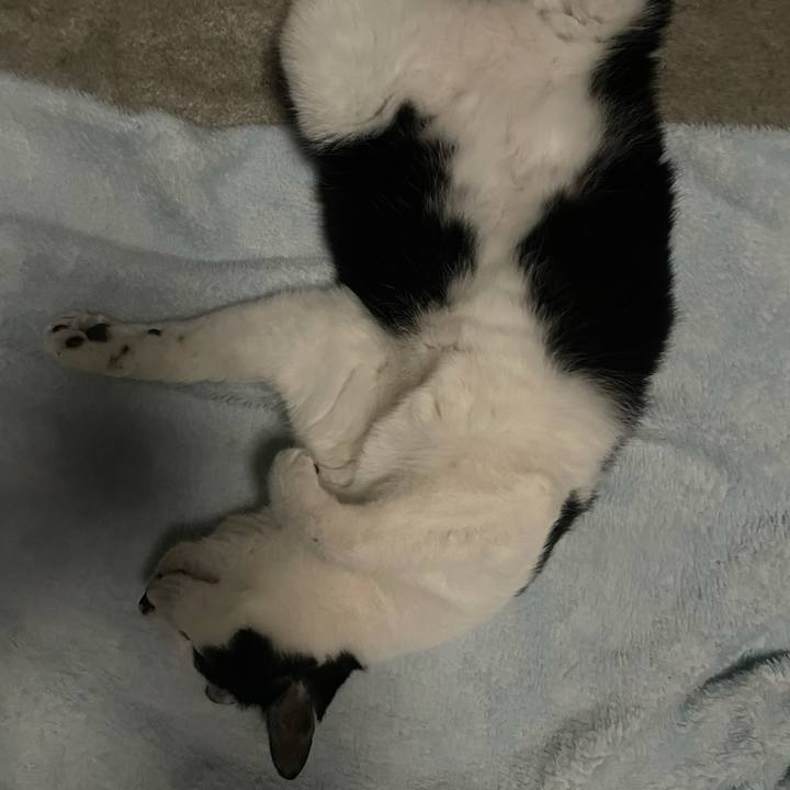 27534328 b28f 409d bafc bb6e6eca798a 1617885810018