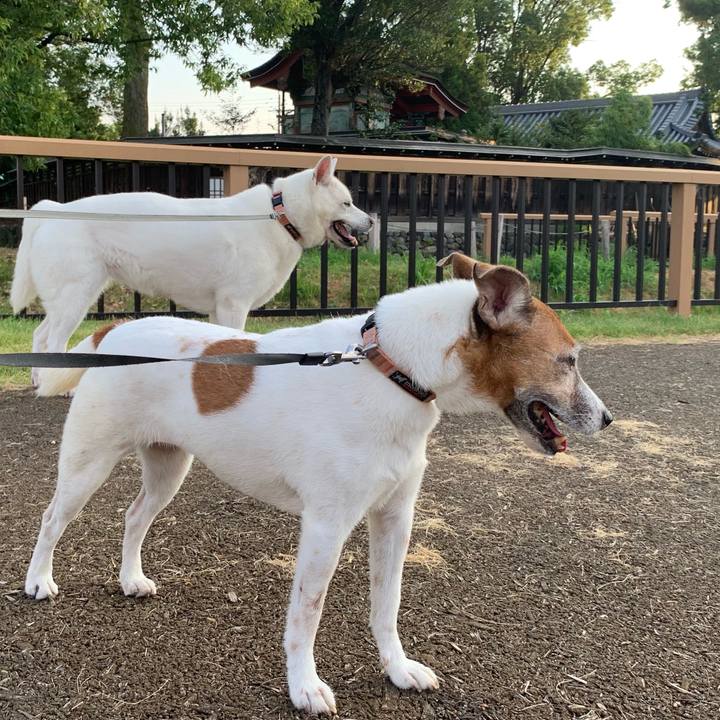 27536db4 409d 4afe 81b5 b29c96d25bed 1565475992687