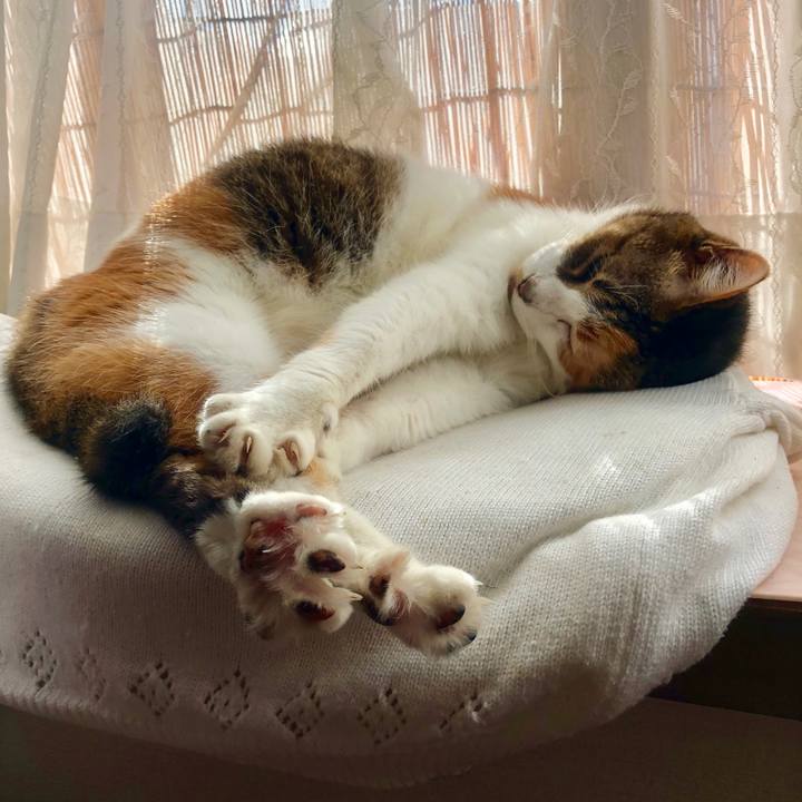 27536e72 c63b 48cb bf43 c6fa646ae24b 1568513604486