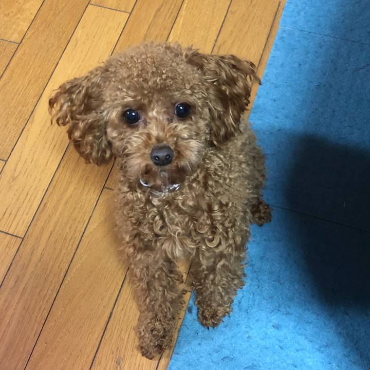 275389bc d216 44b7 8902 125bcdedc9ce 1518128093228