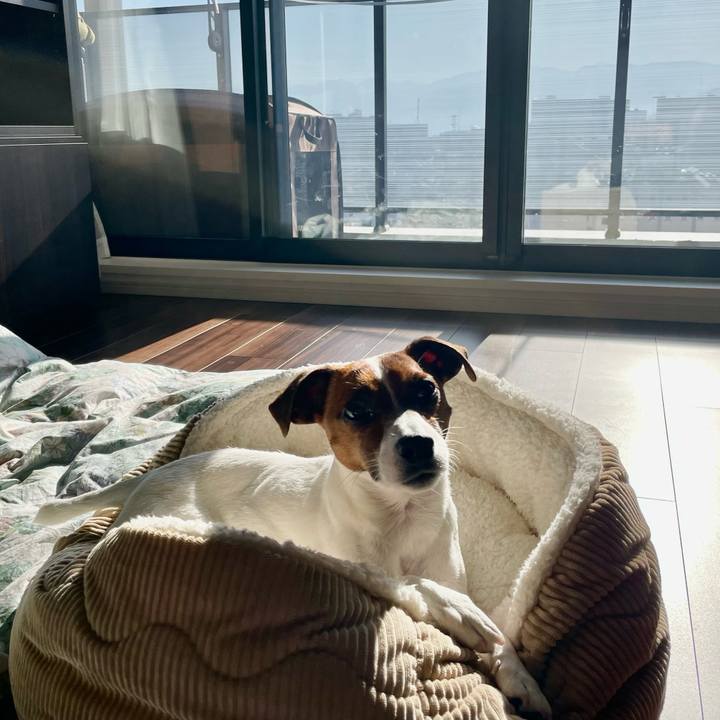 2753bf2a f776 45ae aca0 c79806e5d359 1648853679252