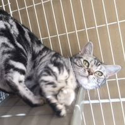 2753e816 e33a 4556 9ae6 b63a77afdf94 1547892556685