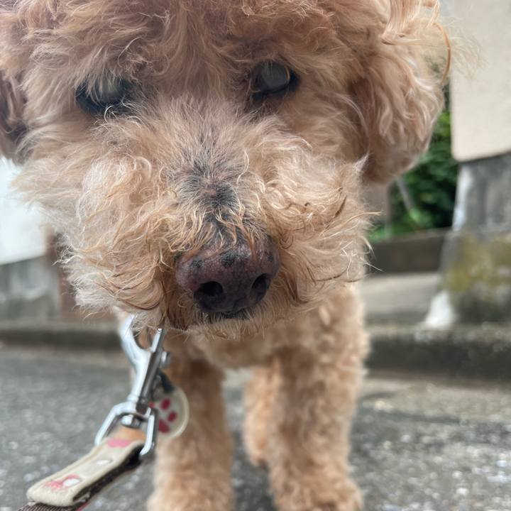 2753f4d4 c6ac 40fc a226 4c65705ecfea 1757642288750