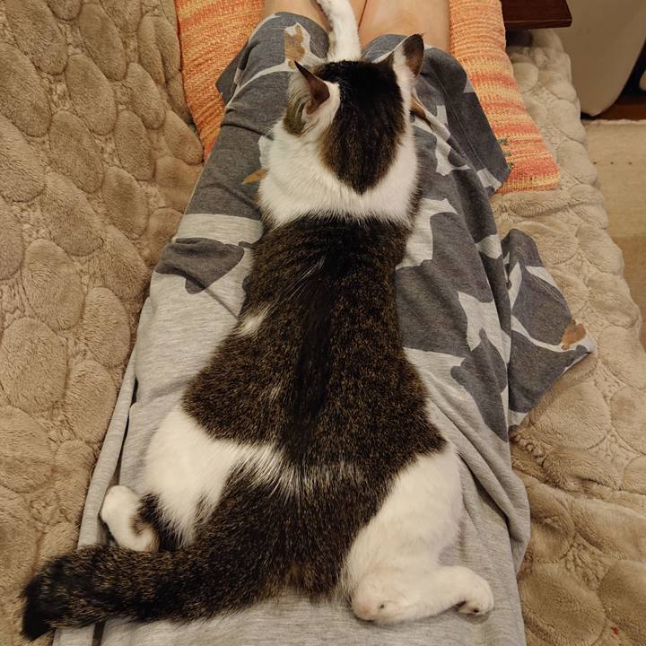 275423d1 d272 4432 9777 d98bdafd42aa 1637288681384