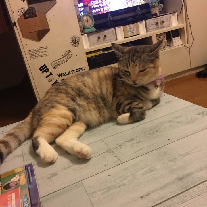 275443bc 2468 4155 a527 cd31ca450cdf 1559749965131