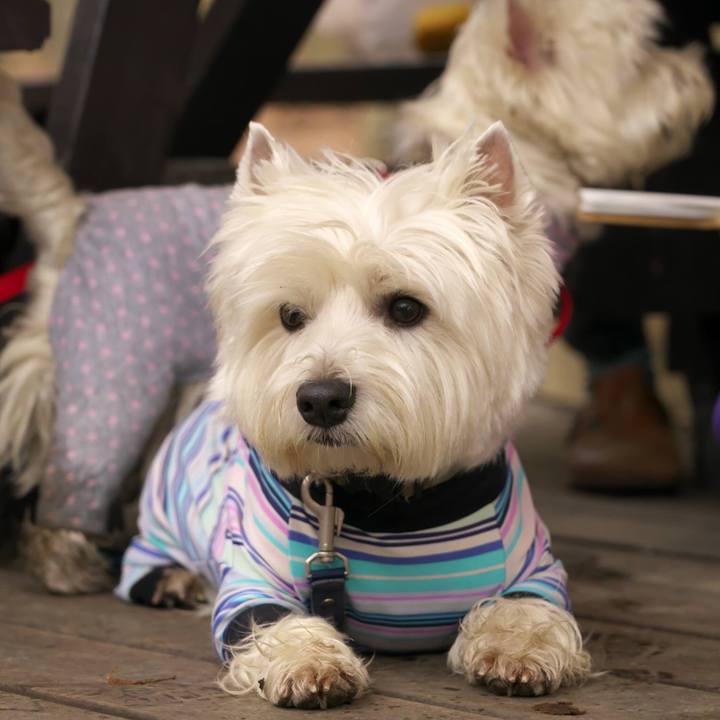 27544fb3 3797 4cdd baff 0ff708d4a1df 1523232153033