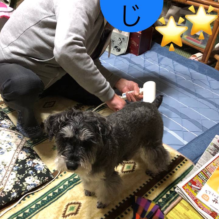 27545124 daf1 4ff2 8851 0316eaf9dca7 1670489233516