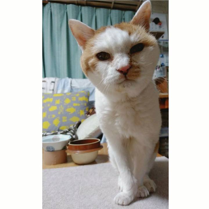 275452df 46cb 45cc bce1 aa6104346401 1586952592256