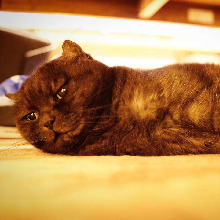 27545f80 e696 4aa1 bef0 310a2ab25dba 1638373766916