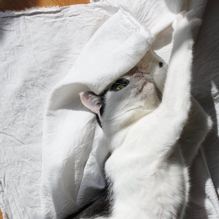 2754a7ee ee90 48c6 8d69 ddbee056ffff 1536154617799