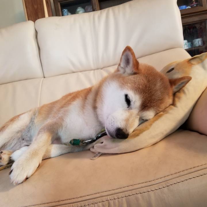 2754b9d2 8410 42ae a28b 5ebce5979b4d 1661572485538