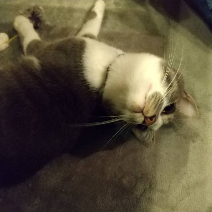 2754bfa5 07cf 496c b57b d12943ceb1d0 1598191354343