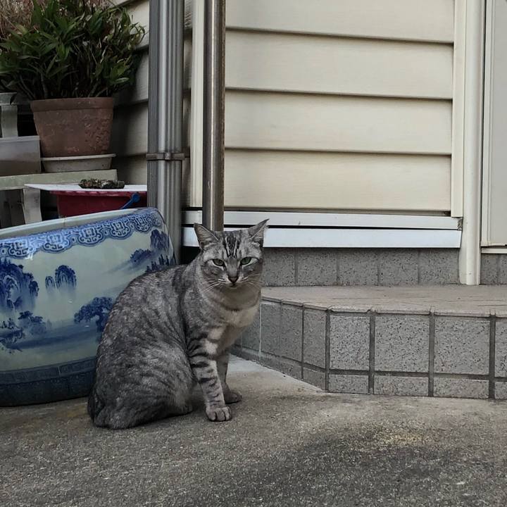 2754d907 50ba 45b3 afa3 2179e201b915 1575206243459