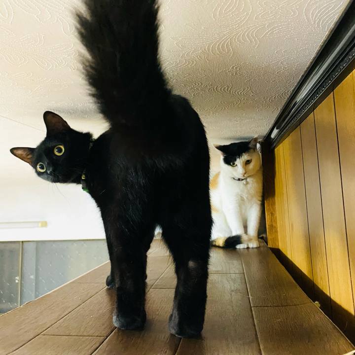 2754f520 a13c 4df0 a97e 9431de53be90 1658668229508