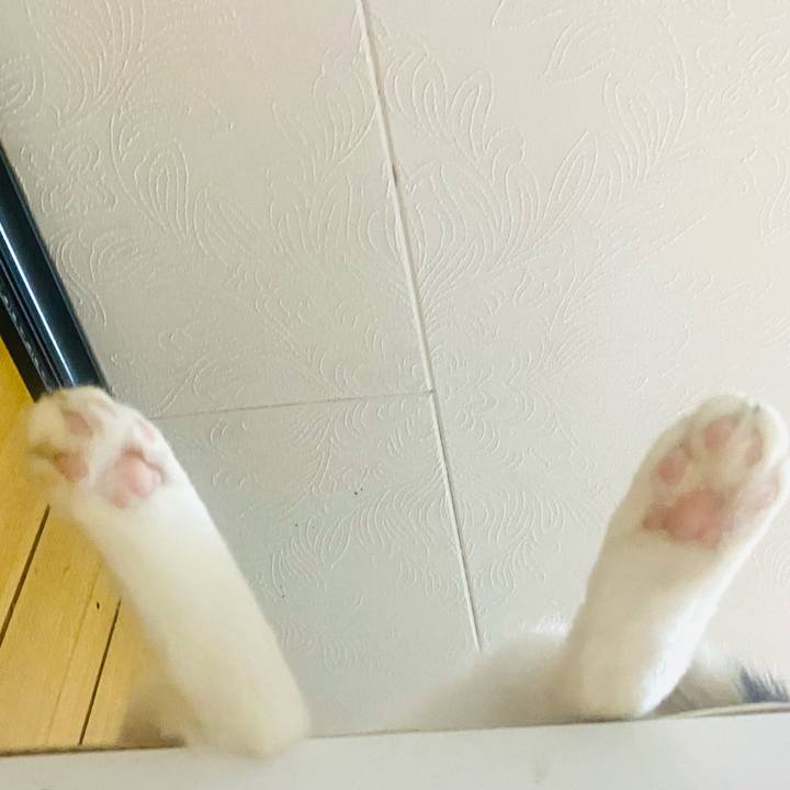 27551cd1 06c5 4374 bc96 4dfc18d319e5 1663580296206