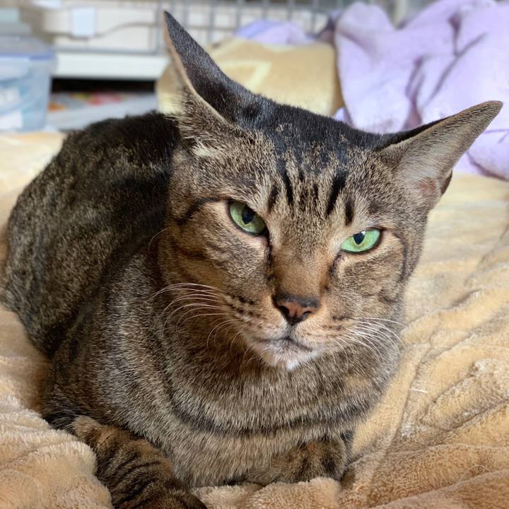 275530b6 c6fc 402c 8c42 75baaa79999a 1544579141149