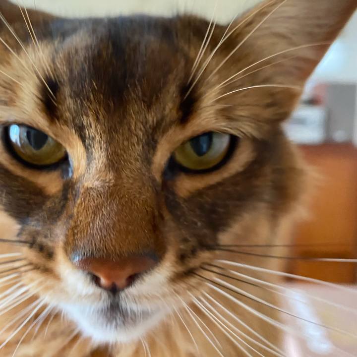 275552e7 0765 49cc 8752 8193732fc947 1641437509564