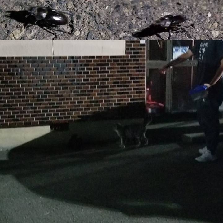 27556619 15d4 43df a622 fcc56a489b99 1688908832365