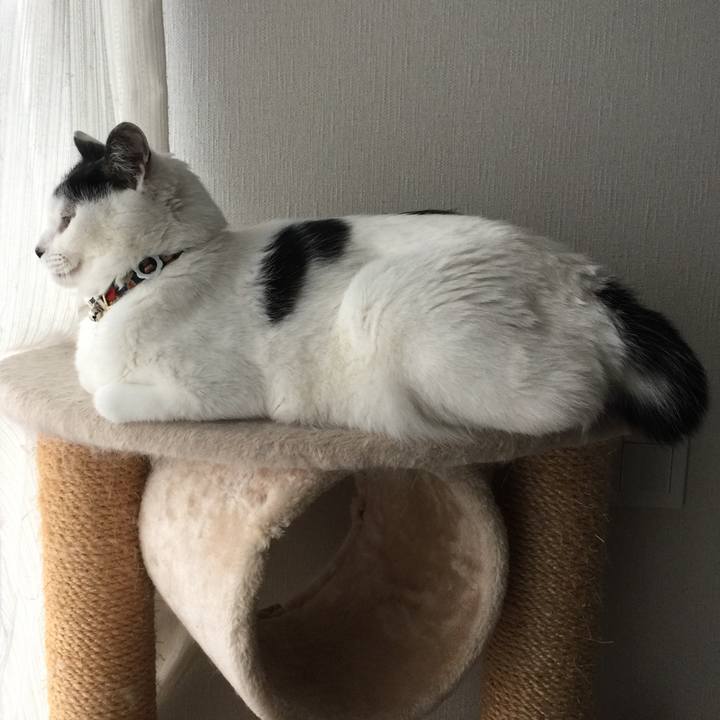 27559142 c7bc 4872 bb3a fe817d6b9430 1509148639409